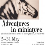 Adventure in Miniature