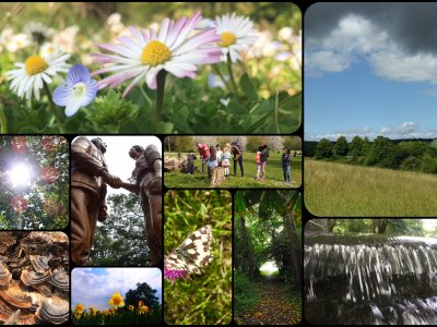 Capturing Colour: A Year through the lens in Three Rivers