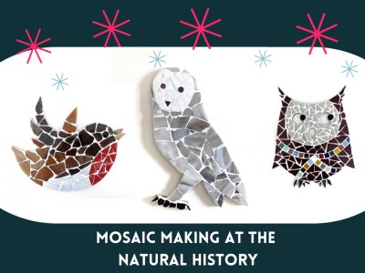 Christmas Animal Mosaic Design - Natural History Museum, Tring