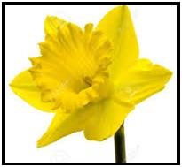 Easter at Hertford Museum - Week 1: Spring has Sprung!