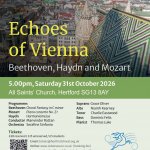 Echoes of Vienna