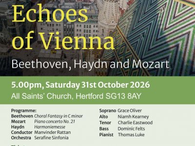 Echoes of Vienna