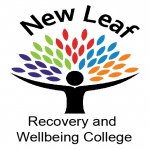 Free Wellbeing & creativity course