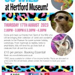 Go Wild at Hertford Museum!