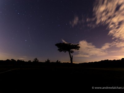 Perseid meteor shower in Cassiobury Park