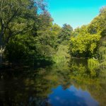 Picture This..! February Photography Walk at Cassiobury Park