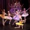 Sleeping Beauty Presented by Moscow Ballet La Classique / <span itemprop="startDate" content="2014-10-16T00:00:00Z">Thu 16 Oct 2014</span>