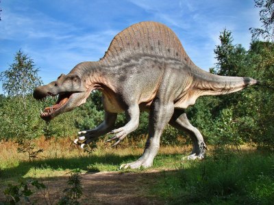 Summer at Hertford Museum: Week 5 Dastardly Dinosaurs