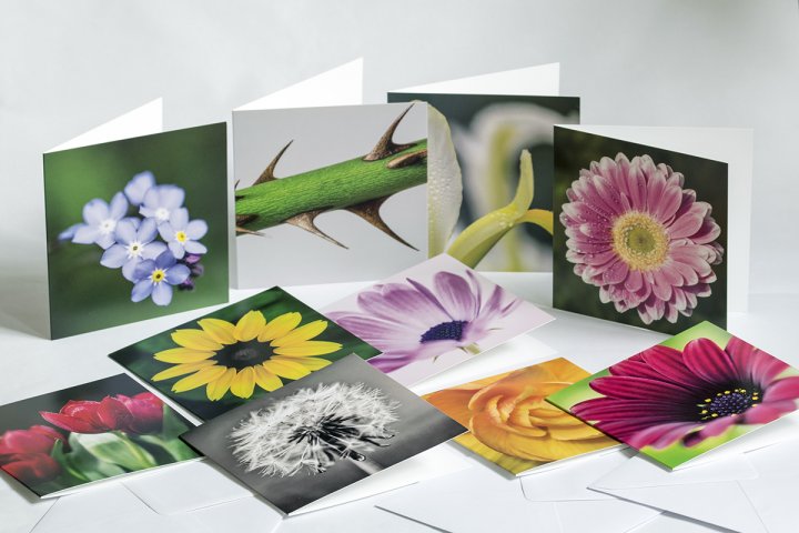 Garden Photo Cards