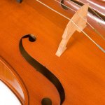String Instrument Tuition with Hertfordshire Music Service