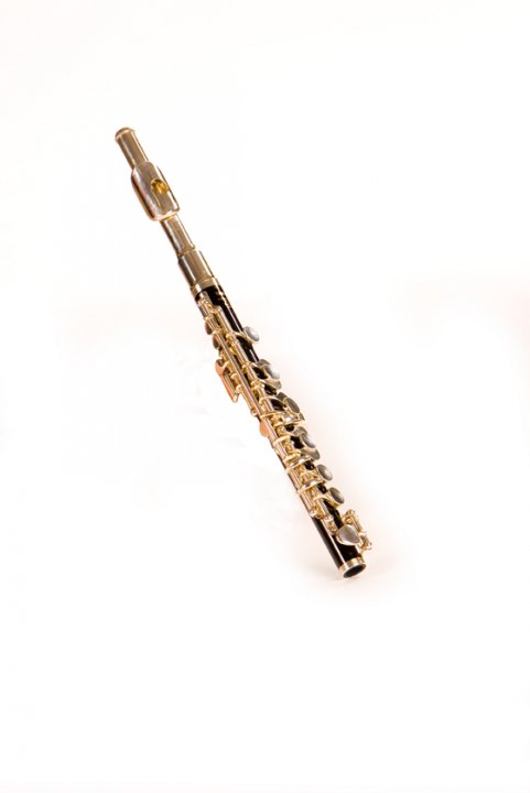 Woodwind Tuition with Hertfordshire Music Service