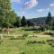 Rectory Lane Cemetery commended in Green Flag Award / <span itemprop="startDate" content="2023-07-18T00:00:00Z">Tue 18 Jul 2023</span>