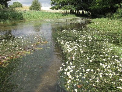 WATER: THE BIGGER PICTURE a photo competition for Hertfordshire
