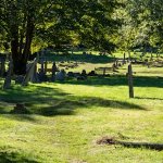 Rectory Lane Cemetery Project / A uniquely inspiring space for the arts