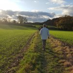 Hertfordshire Health Walks / Countryside and Rights of Way, Hertfordshire County Council