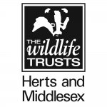 Wild at Home with Herts and Middlesex Wildlife Trust