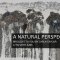 A NATURAL PERSPECTIVE Art Exhibition || North Light Gallery / <span itemprop="startDate" content="2014-06-27T00:00:00Z">Fri 27</span> to <span  itemprop="endDate" content="2014-06-28T00:00:00Z">Sat 28 Jun 2014</span> <span>(2 days)</span>