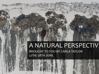 A NATURAL PERSPECTIVE Art Exhibition || North Light Gallery