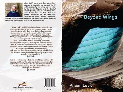 Book launch: Beyond Wings