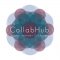 Collabhub Workshop and Monthly Meeting / <span itemprop="startDate" content="2020-02-18T00:00:00Z">Tue 18 Feb 2020</span>