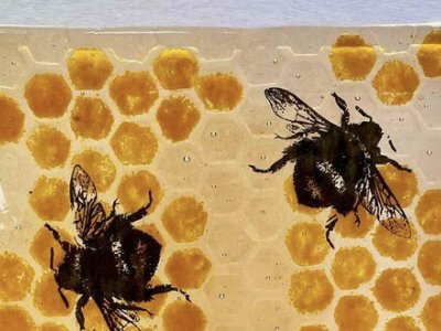 Fused Glass Advanced - Monday Evening