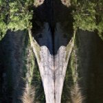 Graham Earnshaw Photography Exhibition in Queensgate Market