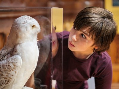 Half Term Activities