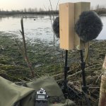 Introduction to Field Recording