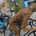 Willow cyclist workshop