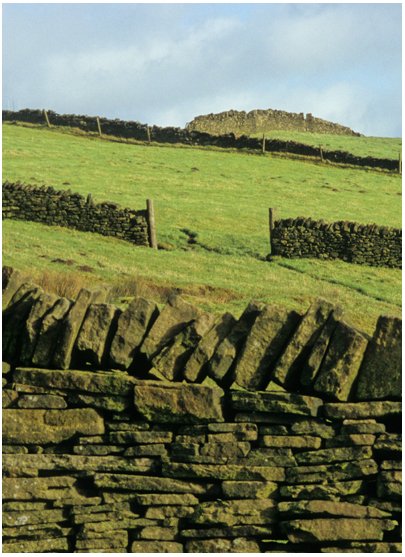 Dry-stone walls