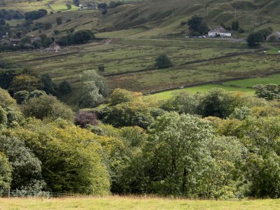 Exhibition going well