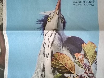 The Observer New Review