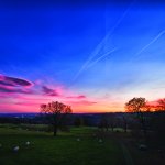 Yorkshire Sculpture Park / YSP