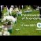 The Flowering of Friendship - Remembering Srebrenica