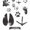Woody&apos;s Wildlife Walks: Animal Tracks and Signs / <span itemprop="startDate" content="2014-08-27T00:00:00Z">Wed 27 Aug 2014</span>