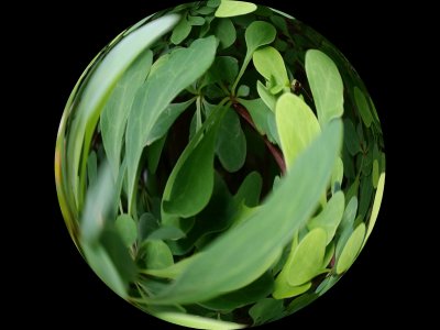 Building on Nature - sculpture and painting activities