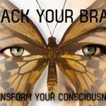 CHRIS PARADOX - HACK YOUR BRAIN UPGRADE WORKSHOP