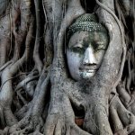 Earth Talk:What is the Place of Spirituality in Ecology?