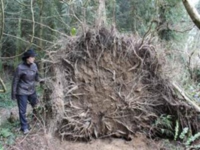 Exhibition Opening - En necromasse