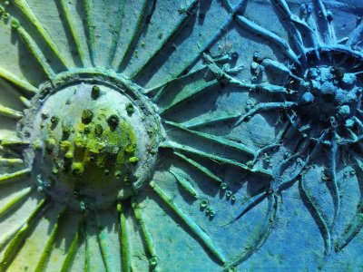 Fossil Creations: Holiday Activity