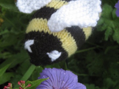 PicKNIT with Katie Shaw