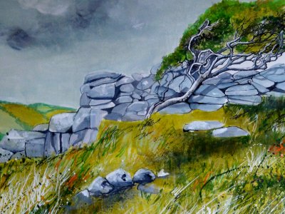 Rural and Coastal Connections