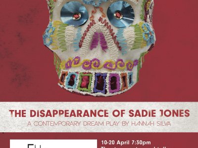 The Disappearance of Sadie Jones