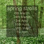 Wander for wellbeing - spring strolls - forest bathing