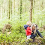 Woodland Wonder: Family day in the Deer Park