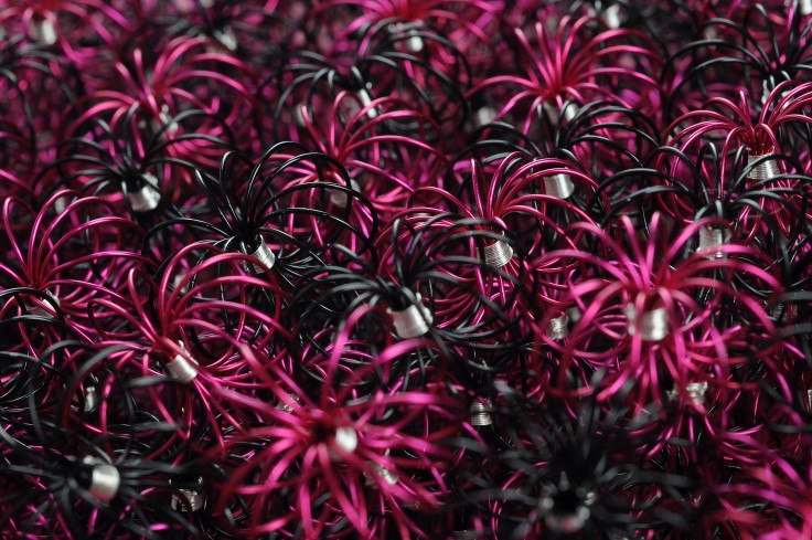 A Little Pink Never Hurt