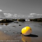 Buoy on the beach