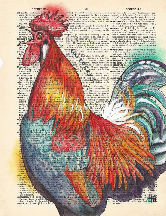 Cock-a-hoop : too cocky