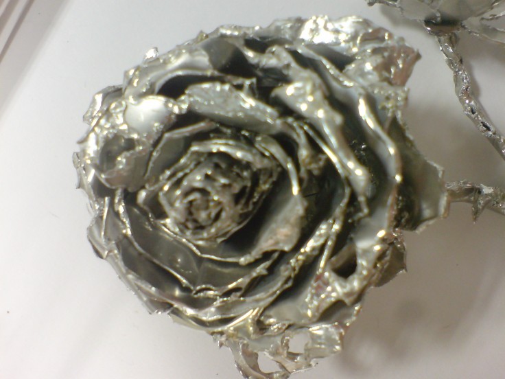 Double Headed Rose