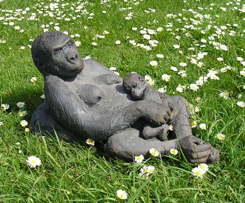 Gorilla - mother and baby